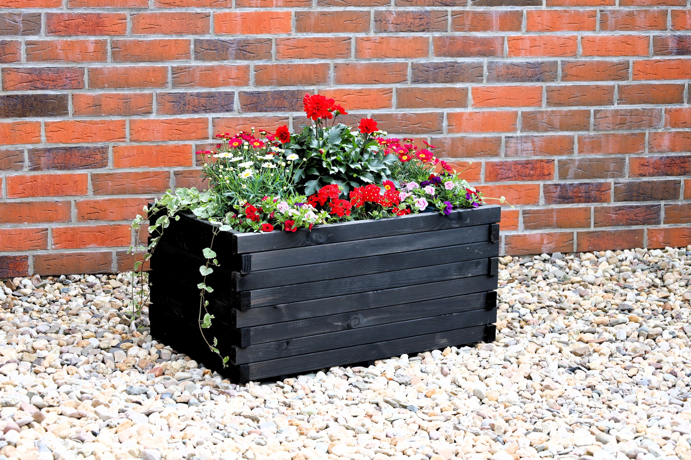 promadino Blumenkasten »Siena« BxTxH: 80x50x39 cm