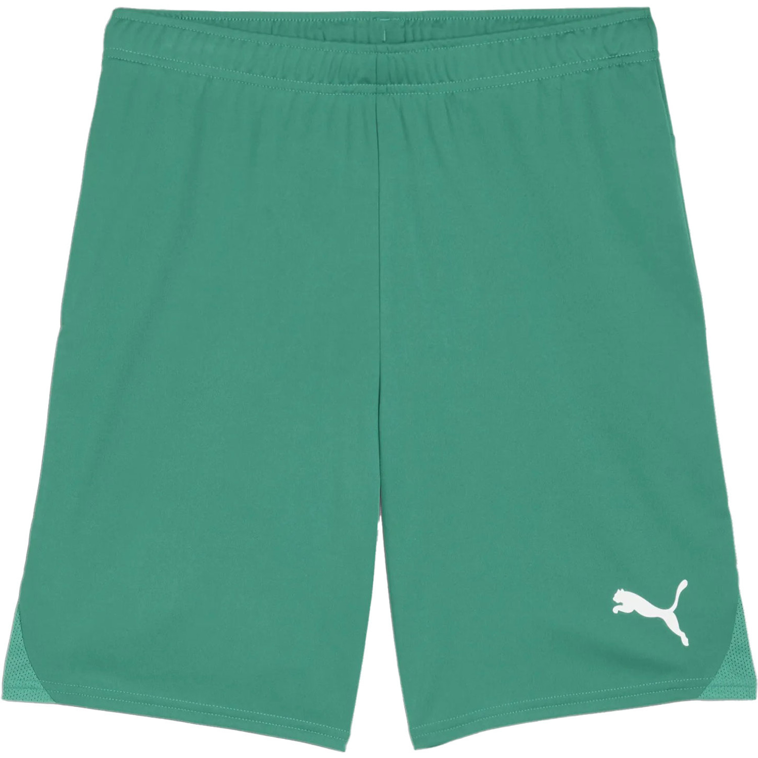 Puma GOAL Training Short