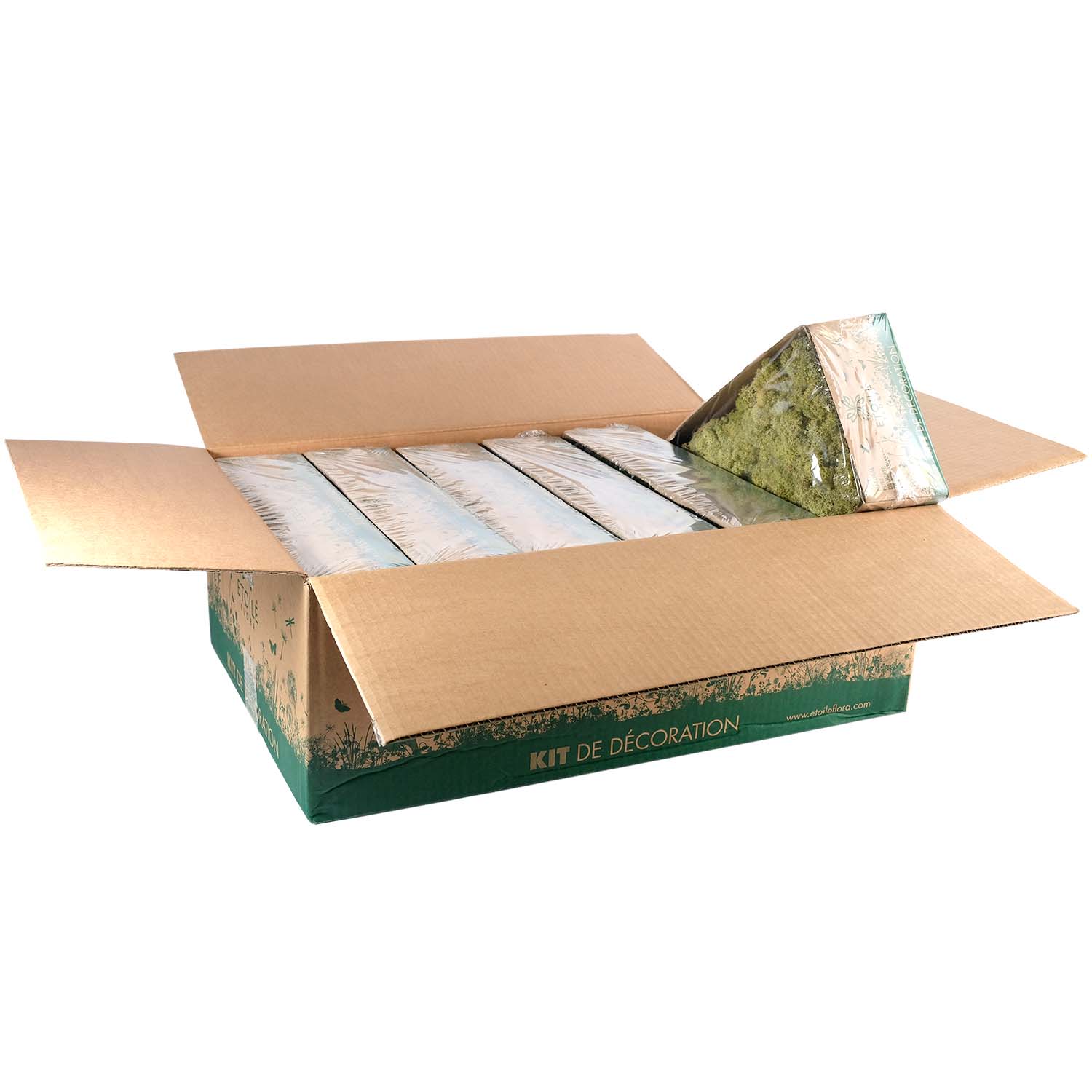 Lic/0564 lichen stabilisée vieux printemps w-box 0,5 kg