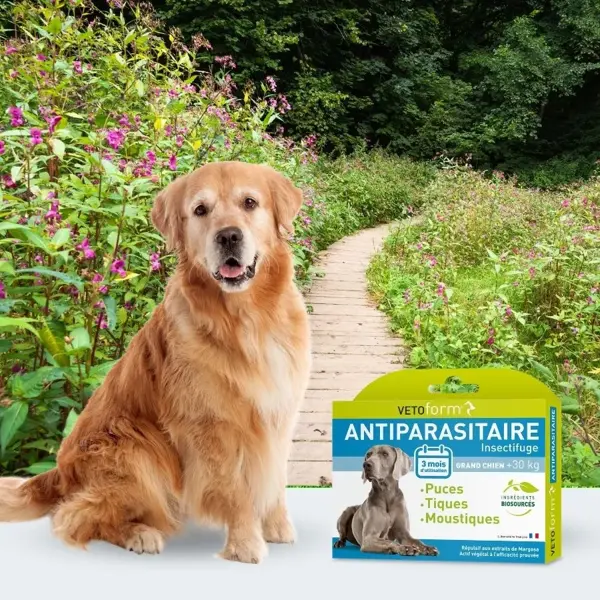 Vetoform Antiparasitaire Grand Chien +30kg 6 pipettes