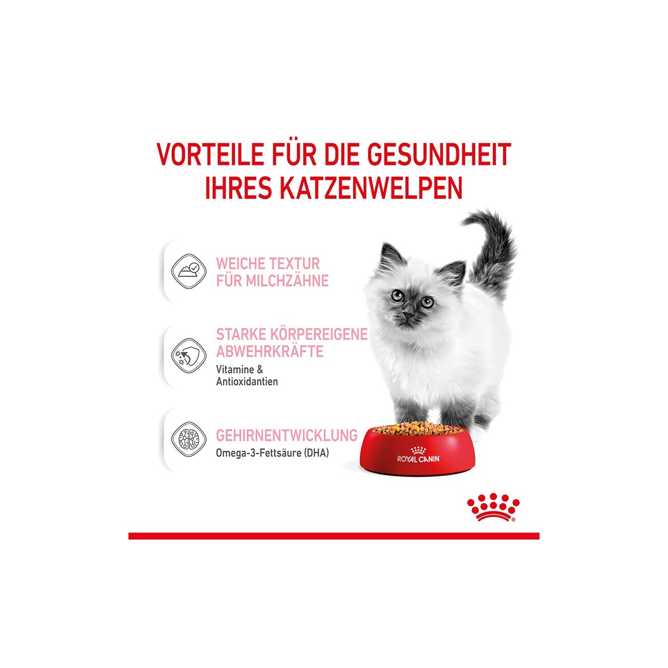 ROYAL CANIN Kitten in Gelee 12x85 g