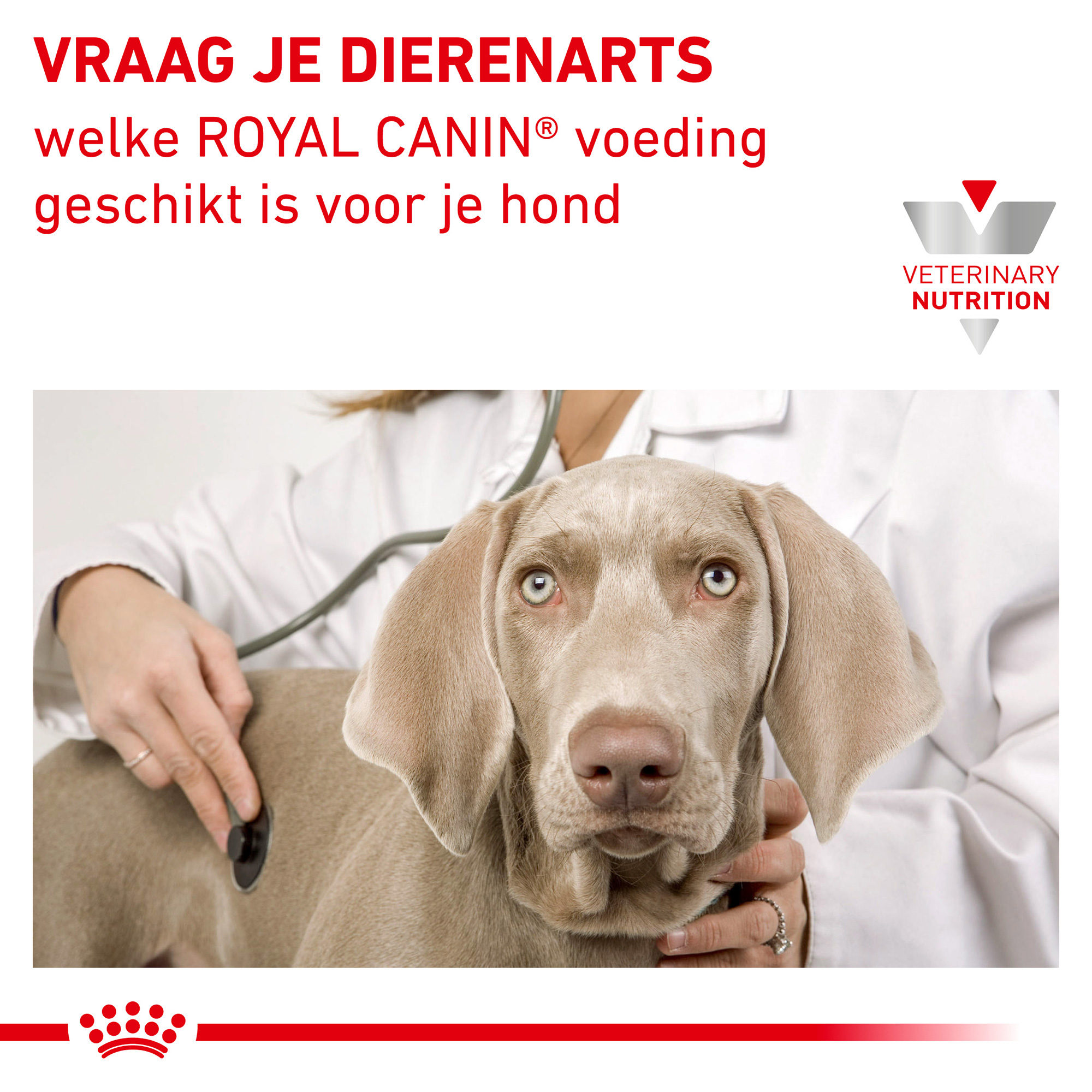 Royal Canin Satiety Hond - Blik