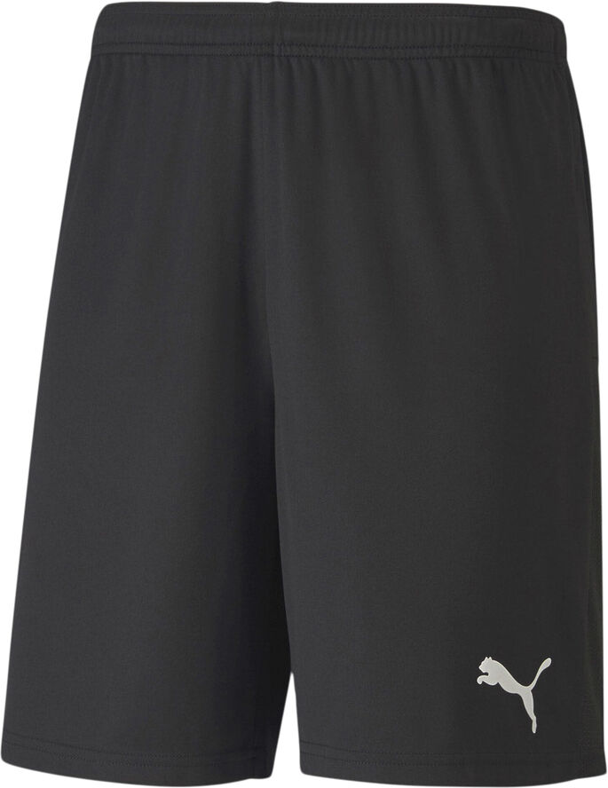 Puma Teamgoal 23 Knit shorts Sort