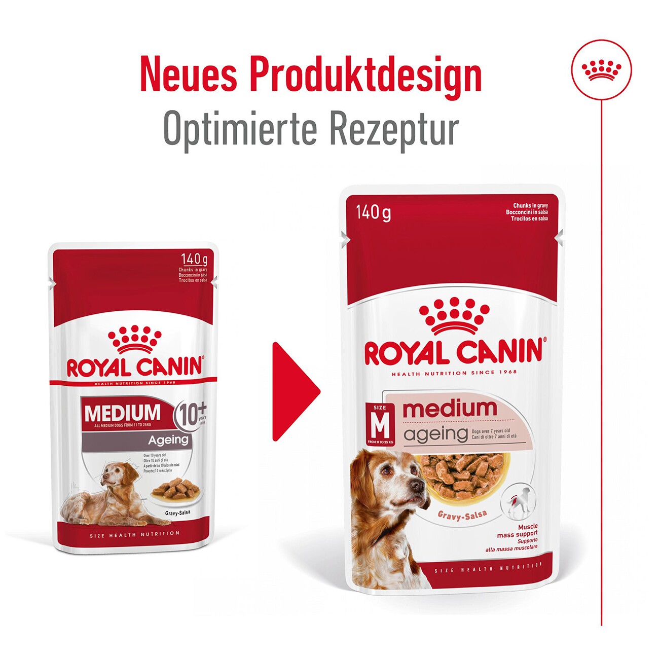 ROYAL CANIN Medium Ageing 10+ in Soße 10x140 g