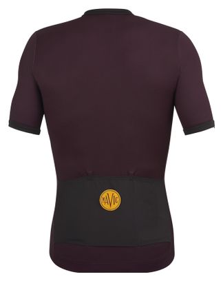 Maillot Manches Courtes Mavic Heritage Aubergine/Noir