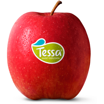 Tessa Appel 4 Stuks