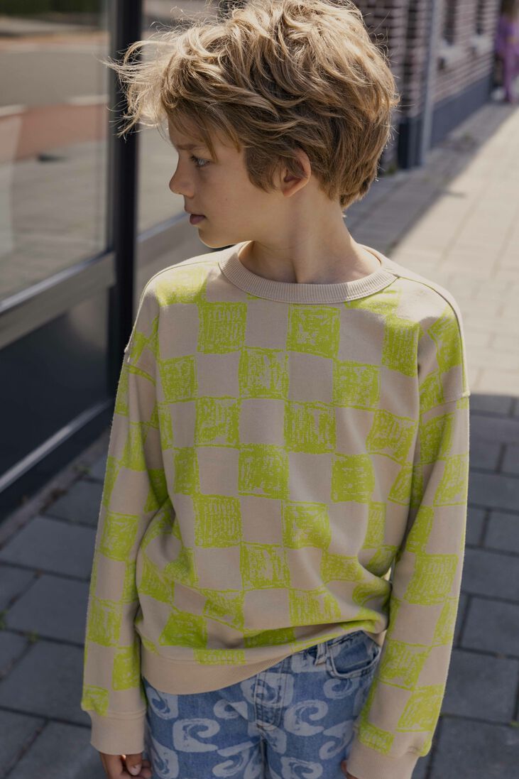 AMMEHOELA lime ammehoela sweater am.rocky.65