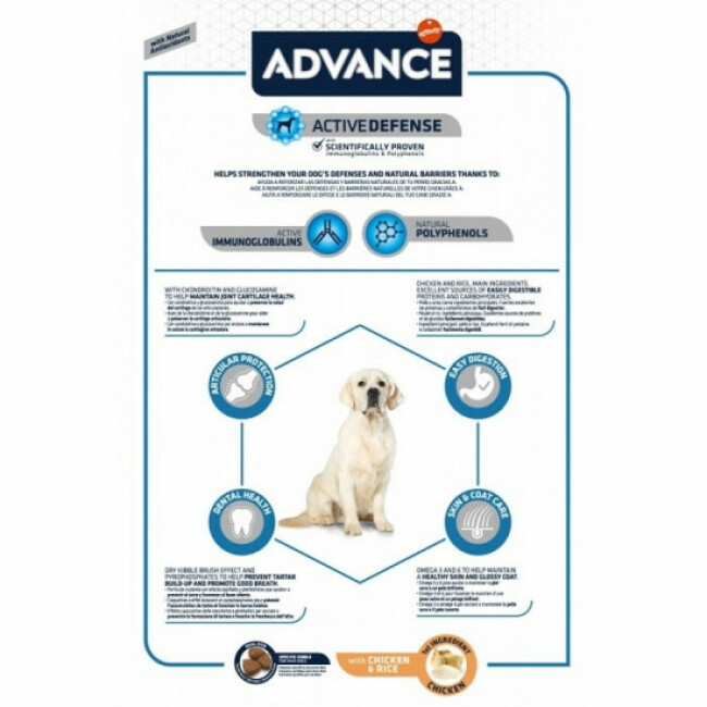 Croquettes Advance Maxi Adult pour chiens
