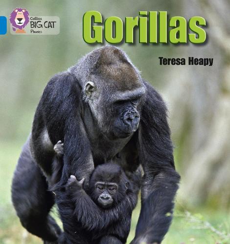Gorillas: Band 04/Blue - Collins Big Cat Phonics (Paperback)