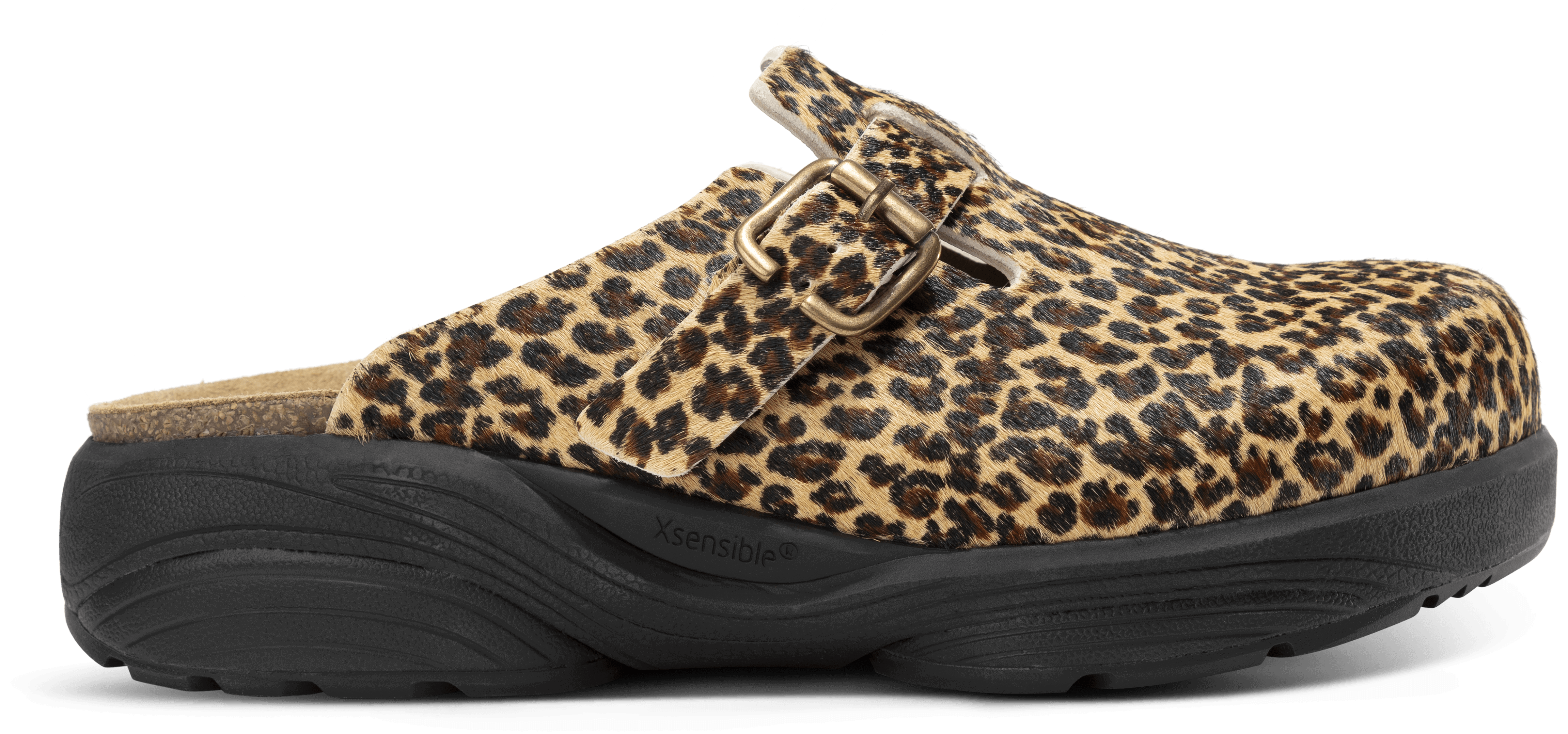 Hibiscus Leopard