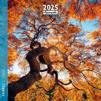 Calendrier mensuel 30x30 cm - 16 mois - Arbres