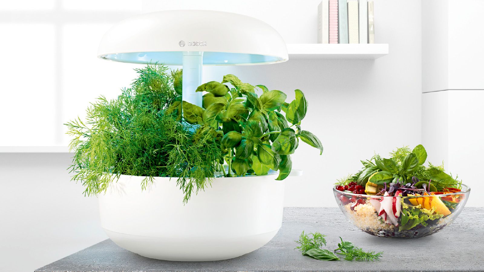 PRODUTO RECONDICIONADO # SmartGrow SmartGrow 6 MSGP6-----B