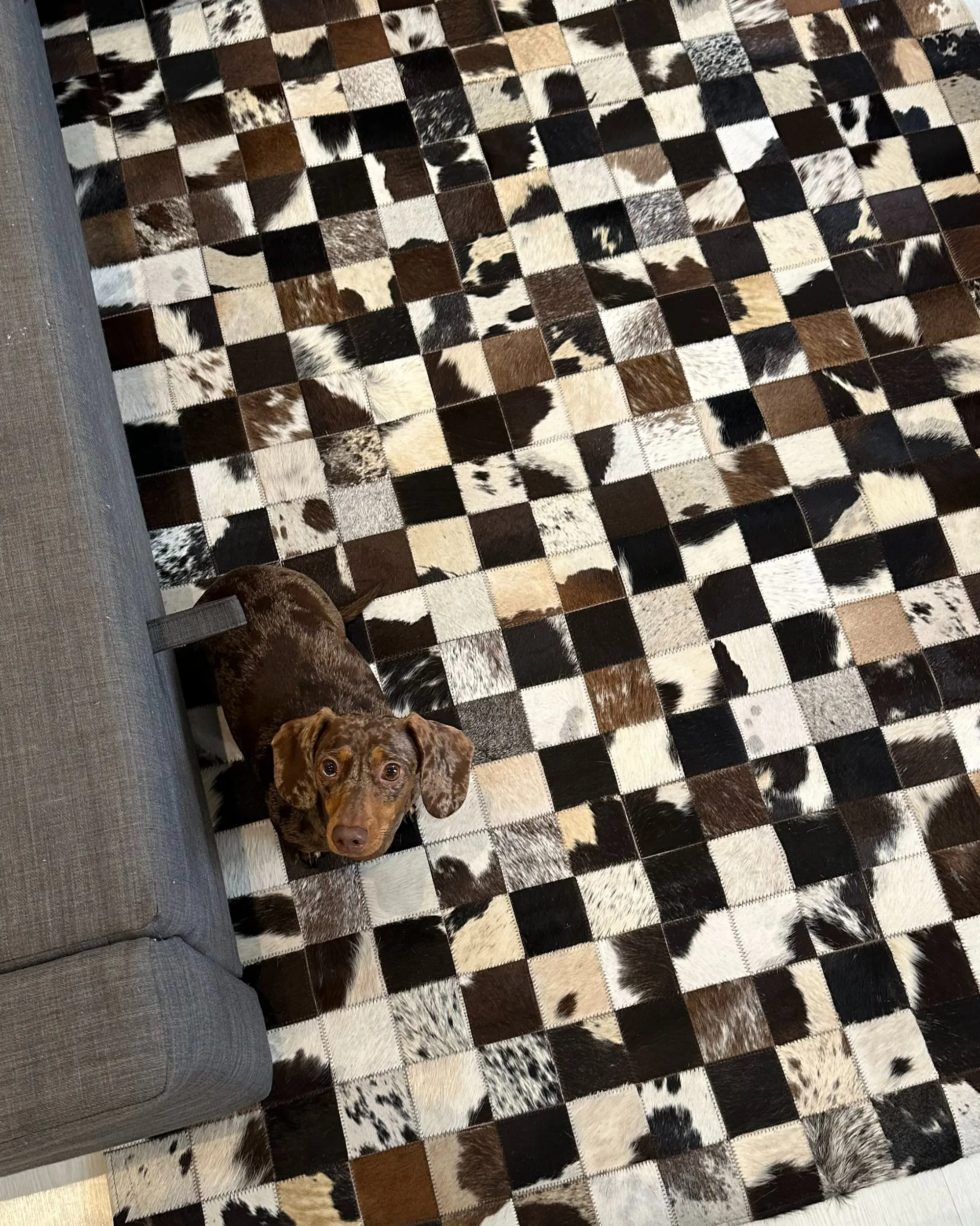 Vloerkleed CERLI Wit 160 x 230 cm Leer