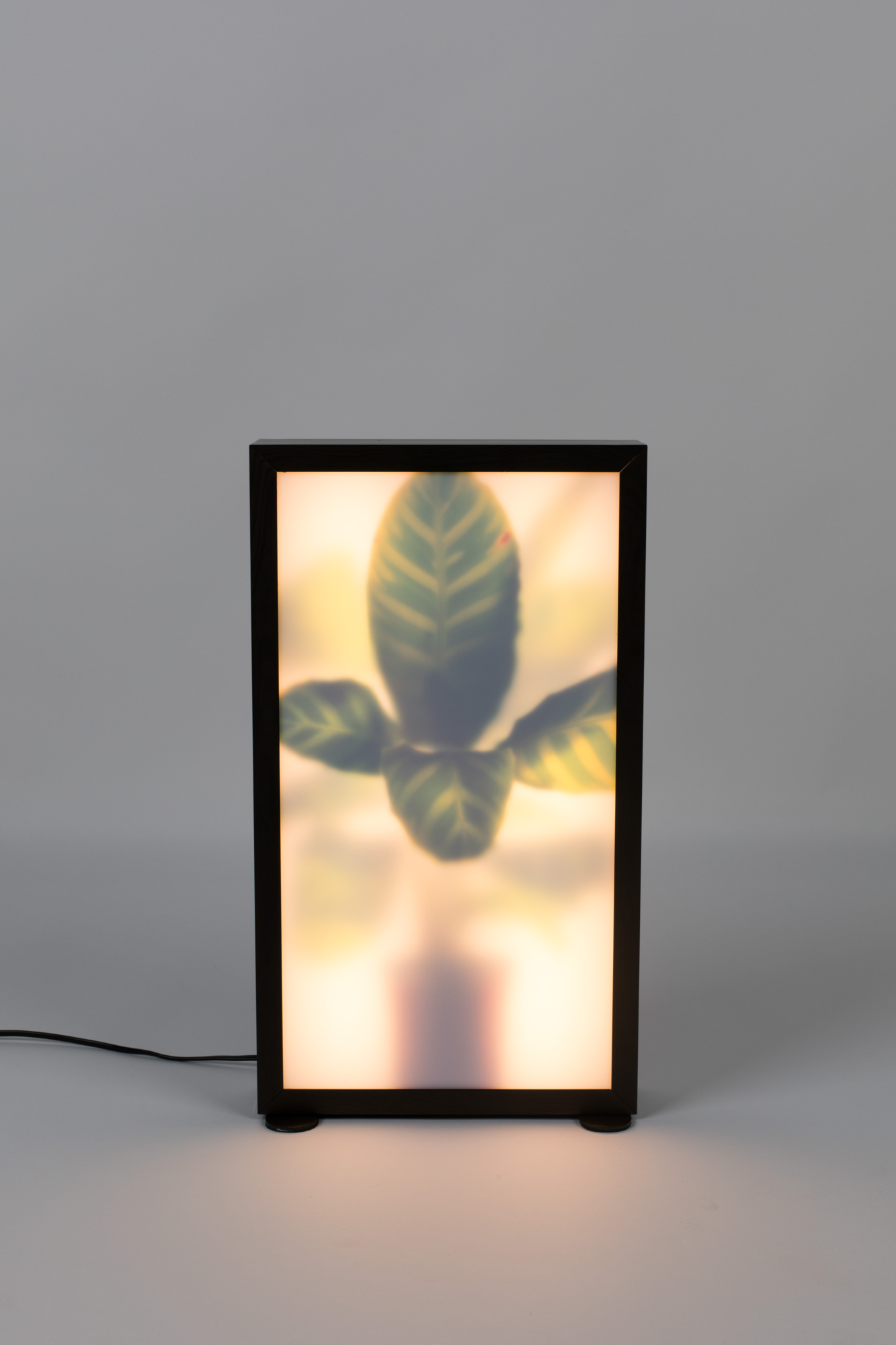 Vloerlamp Grow M