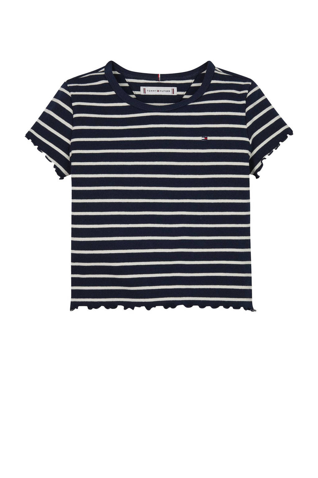 Tommy Hilfiger t-shirt blauw