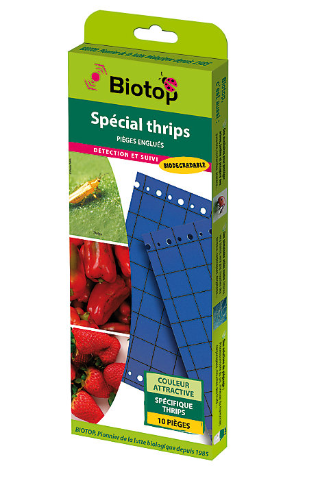 Piège englué bleu spécial thrips Biotop (10 plaques)