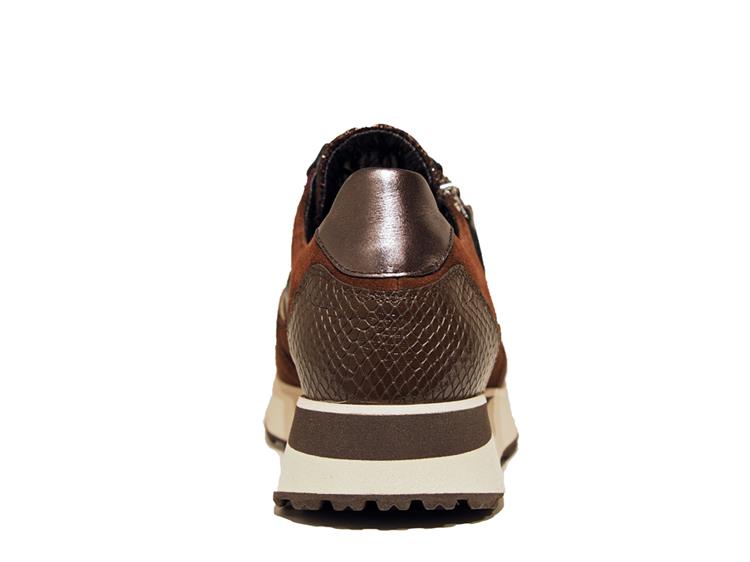 Footnotes 32.009 wijdte K 2555