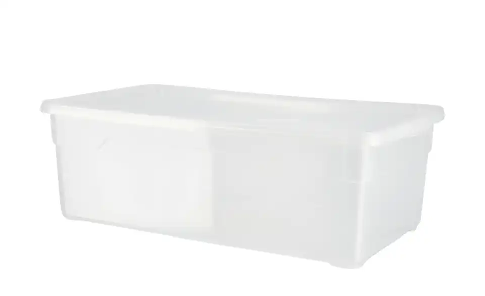 Rotho Aufbewahrungsbox, 4er Set