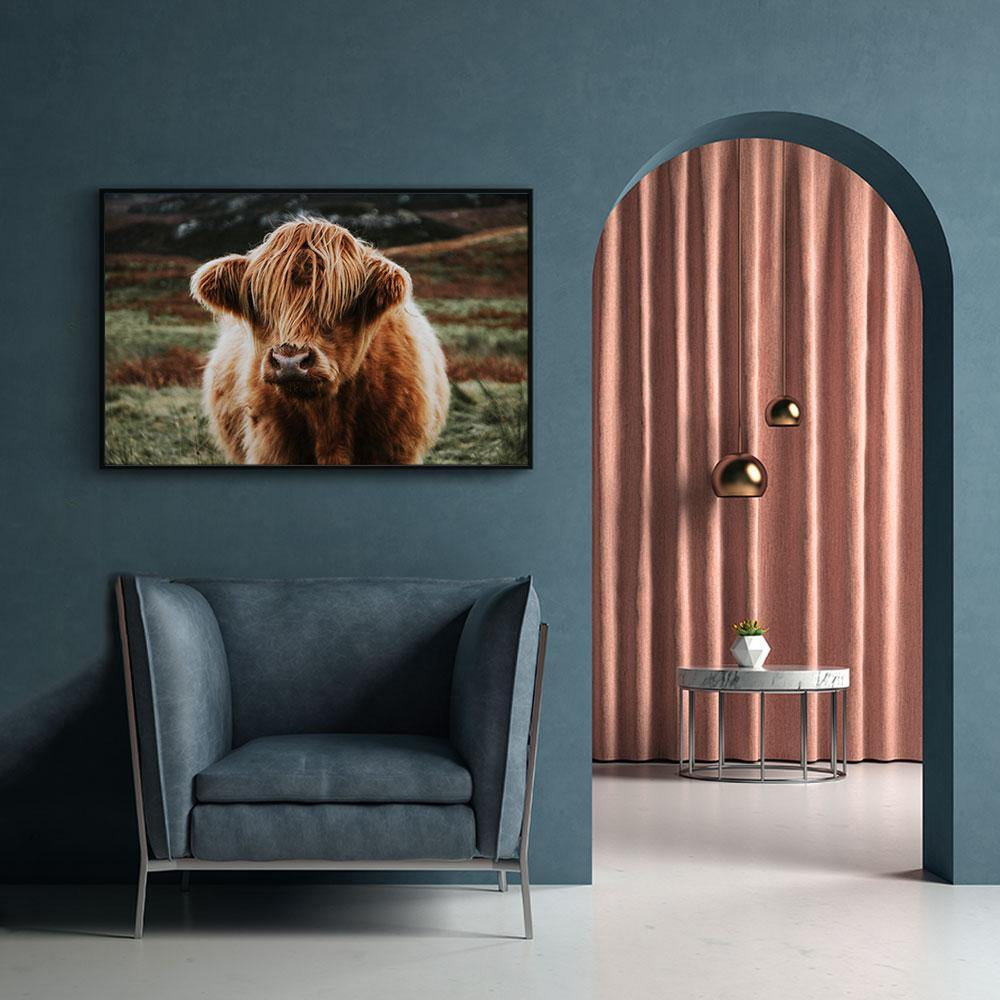 Walljar poster ingelijst - Schotse Hooglander Poster ingelijst - 50 x 70 cm
