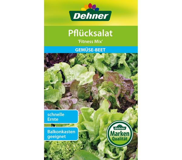 Dehner Samen-Set Easy Going