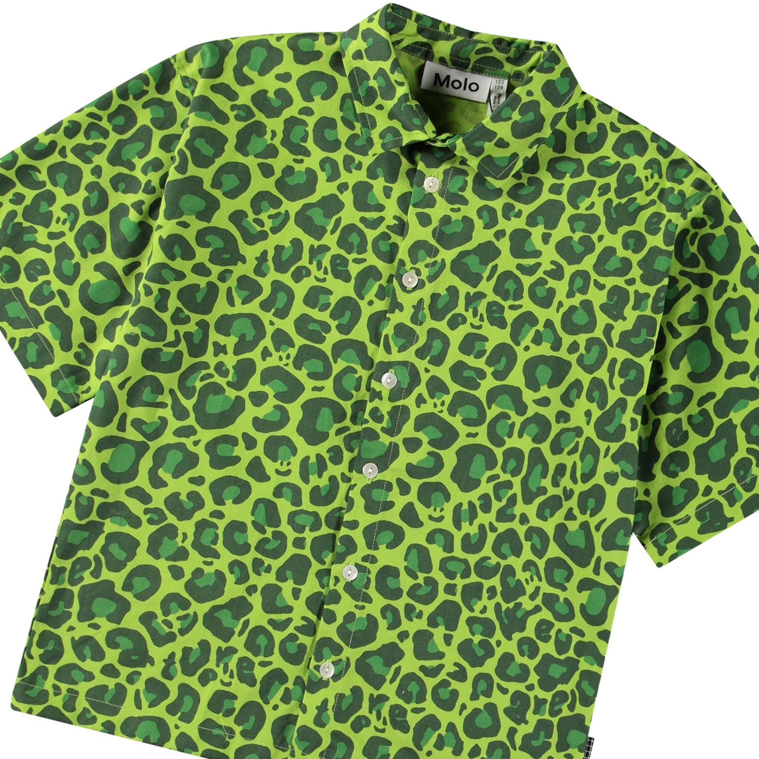 Richie - Jaguar_Green