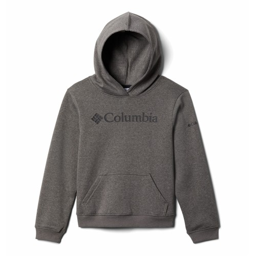 Columbia - COLUMBIA TREK HOODIE Gris