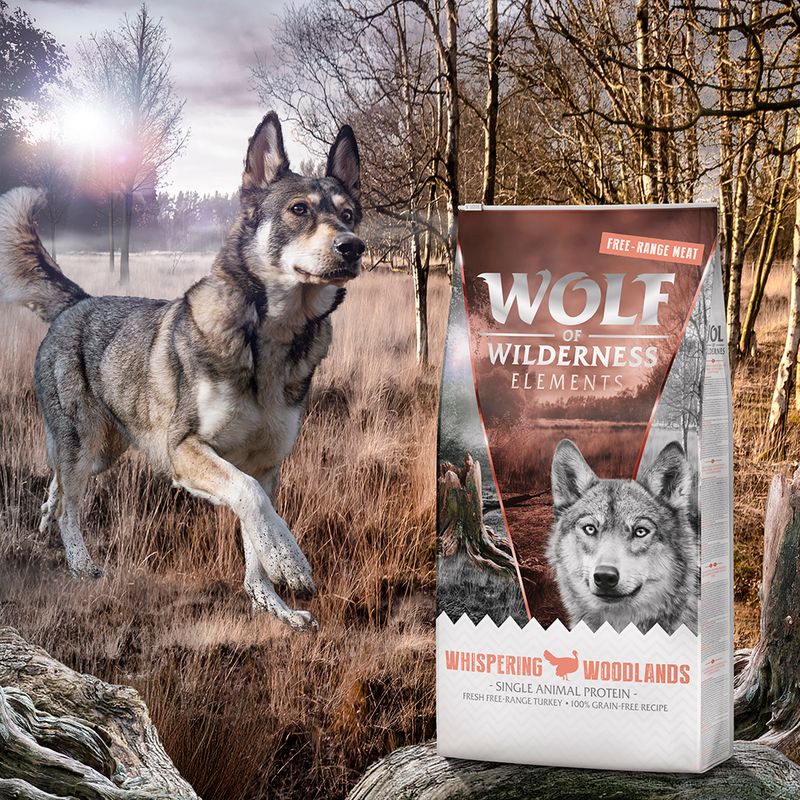 Wolf of Wilderness Whispering Woodlands dinde élevée en liberté - sans céréales