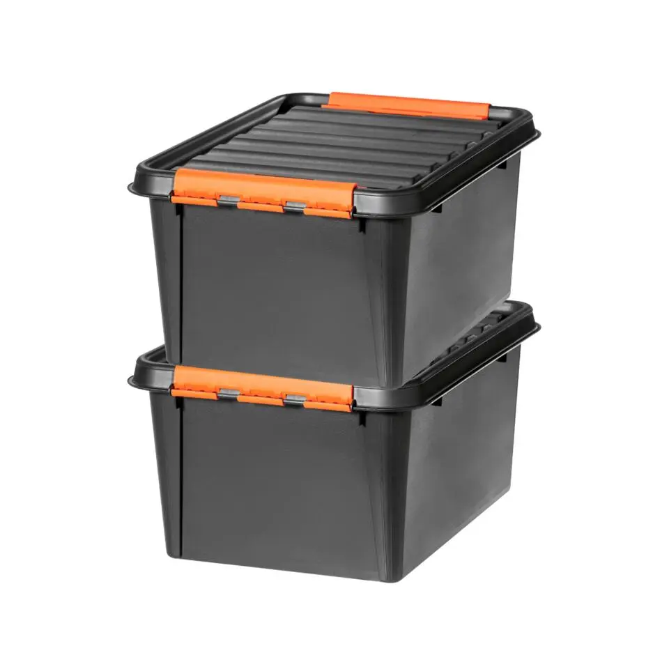 SmartStore Stevige Opbergbox 31L Set van 2 - 50x39x26cm