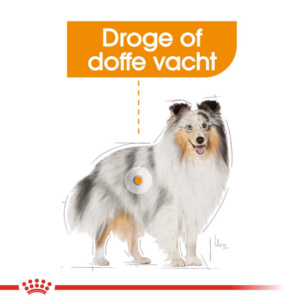 Royal Canin Coat Care Wet - Hondenvoer - 1020 Gram - gevogelte