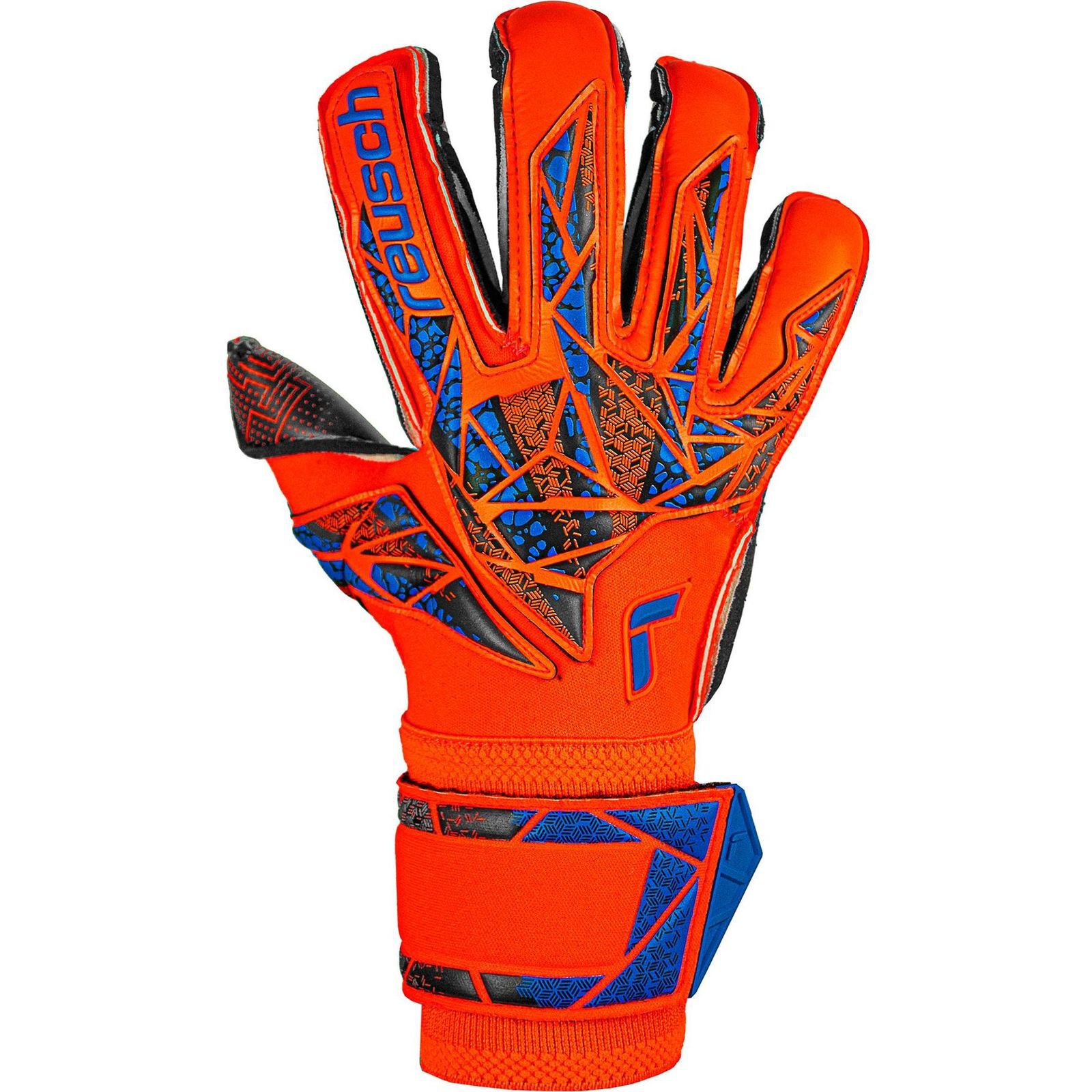 ReuschAttrakt Gold X