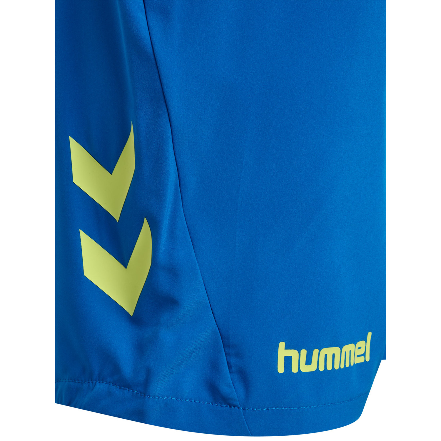 Hummel Blaze Pro Training Shorts Kids
