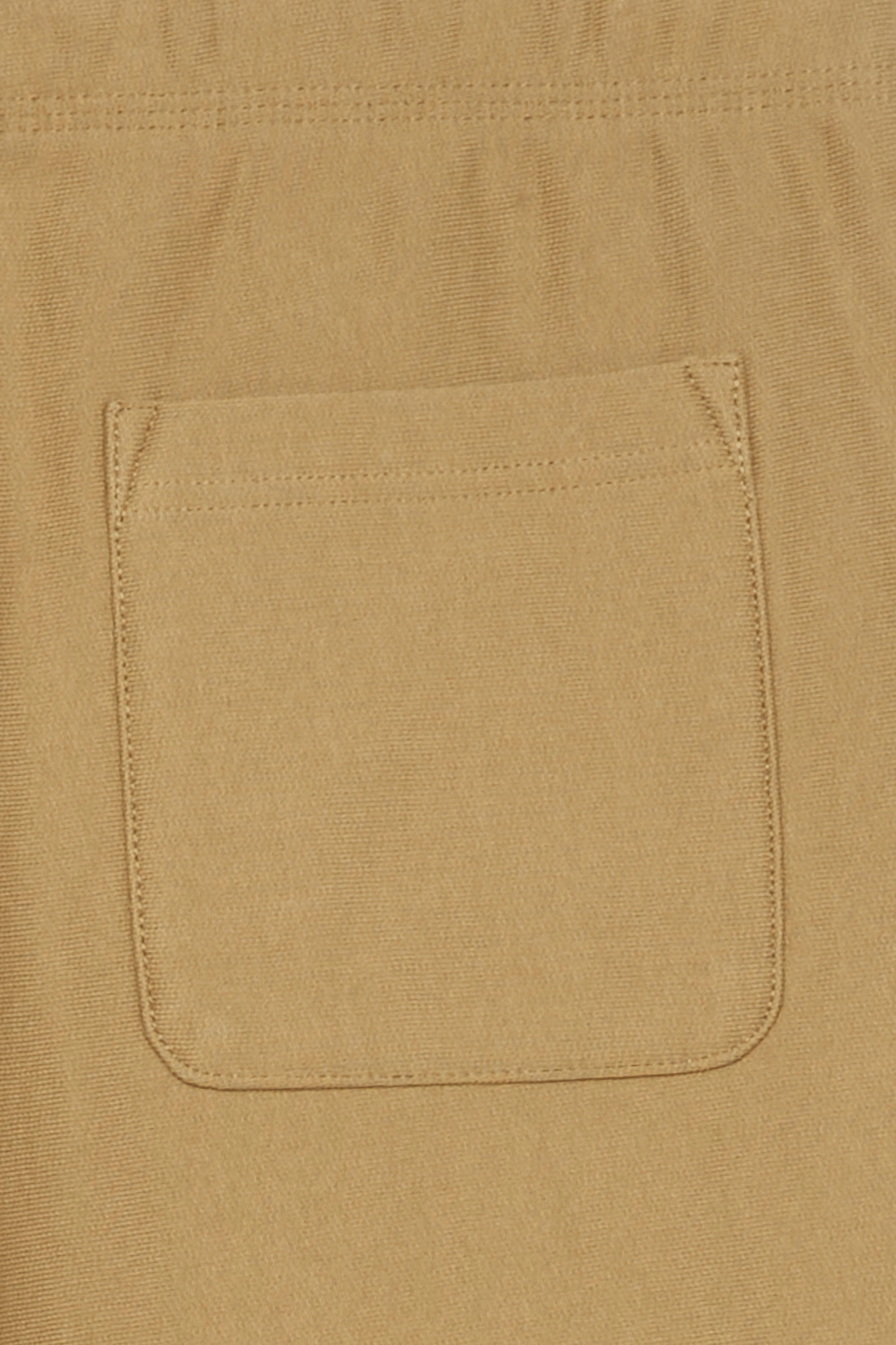 CARHARTT WIP short American Script Kaki