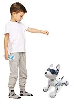 Lexibook - Power Puppy – Min Smarte Robothund