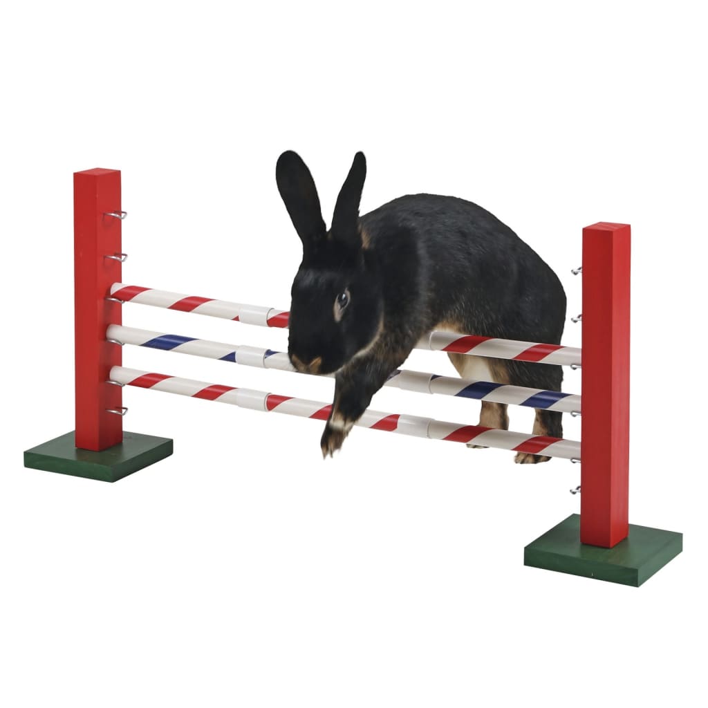 Acessório para animais de estimação de pequeno porte