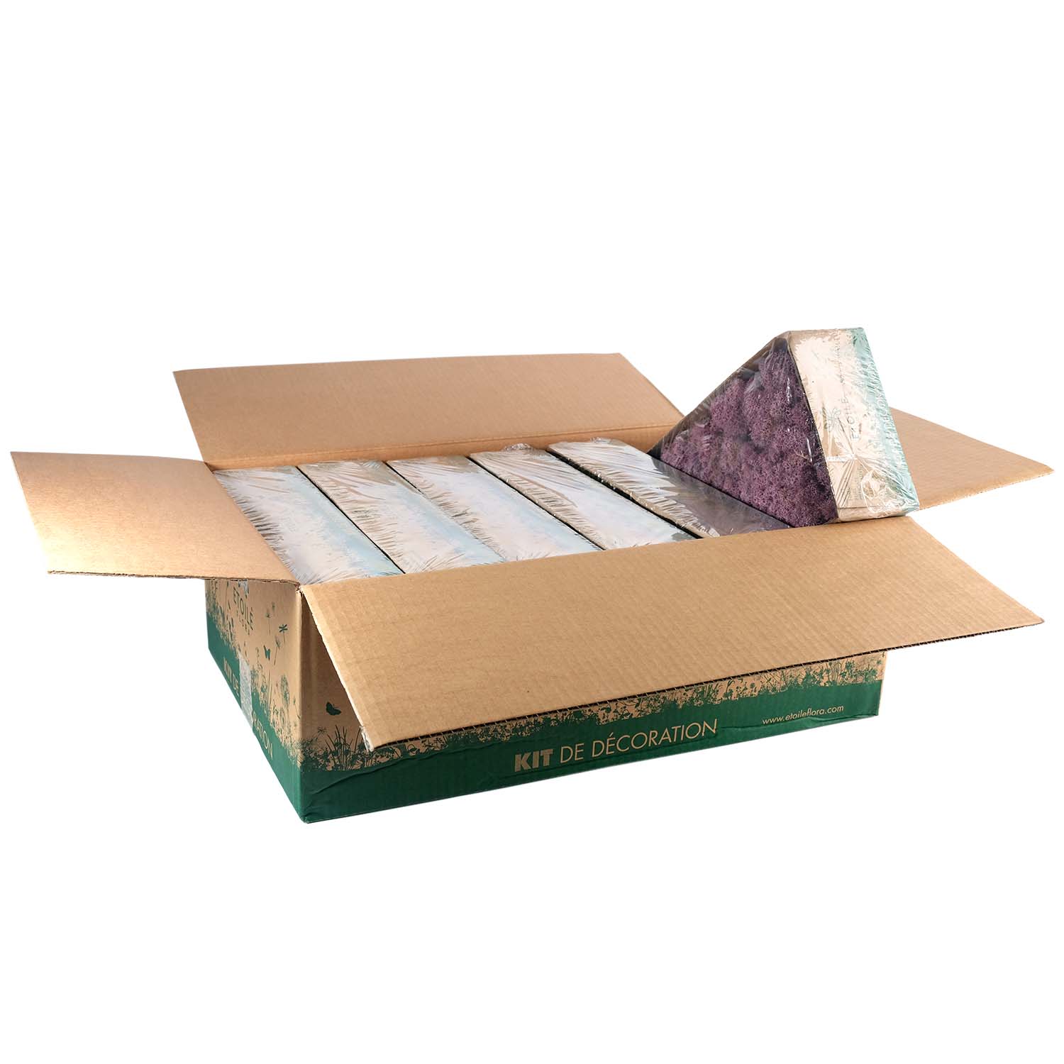 Lic/0553 lichen stabilisée erica w-box 0,5 kg