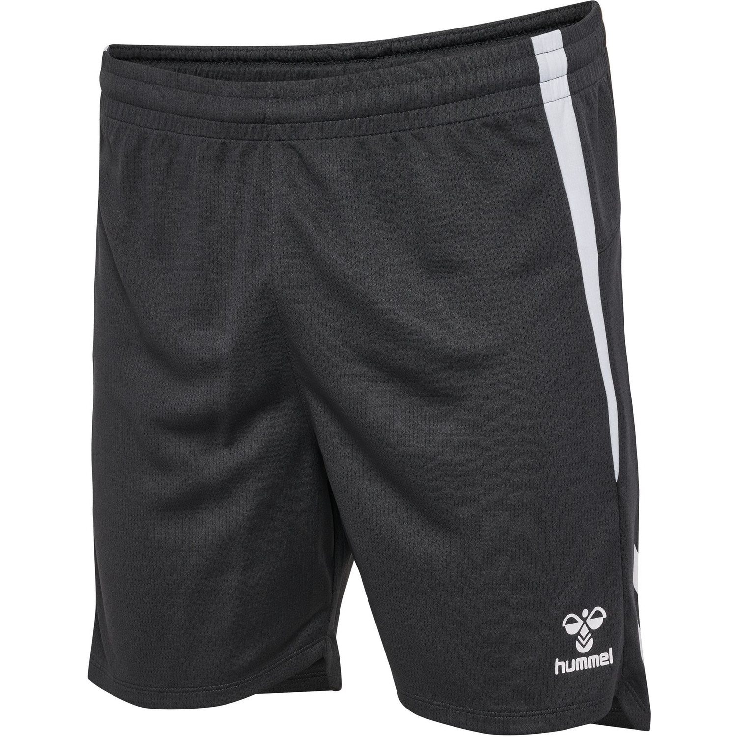 Hummel Lead 2.0 Shorts Heren