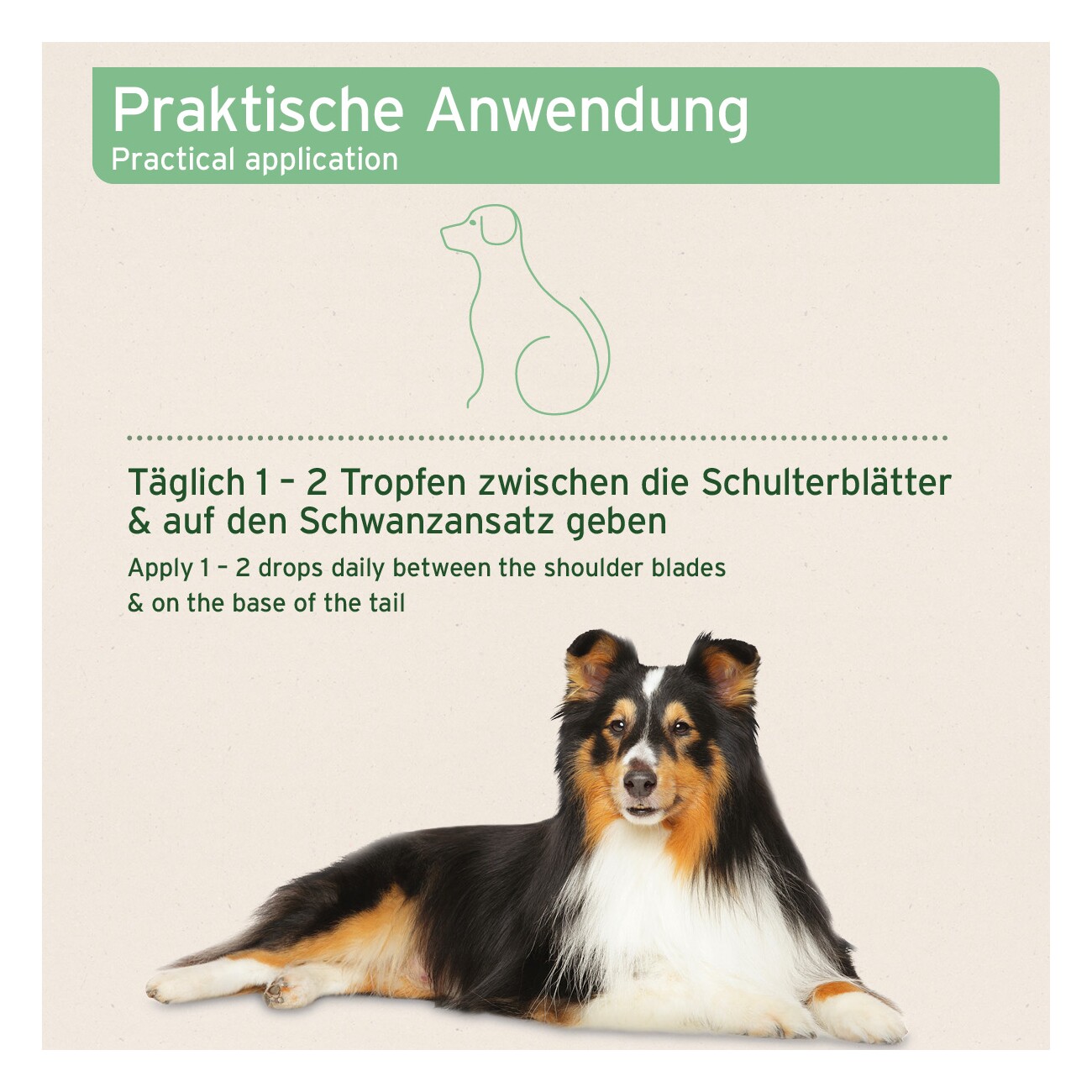 AniForte Spot-on für Hunde Ectoprotex