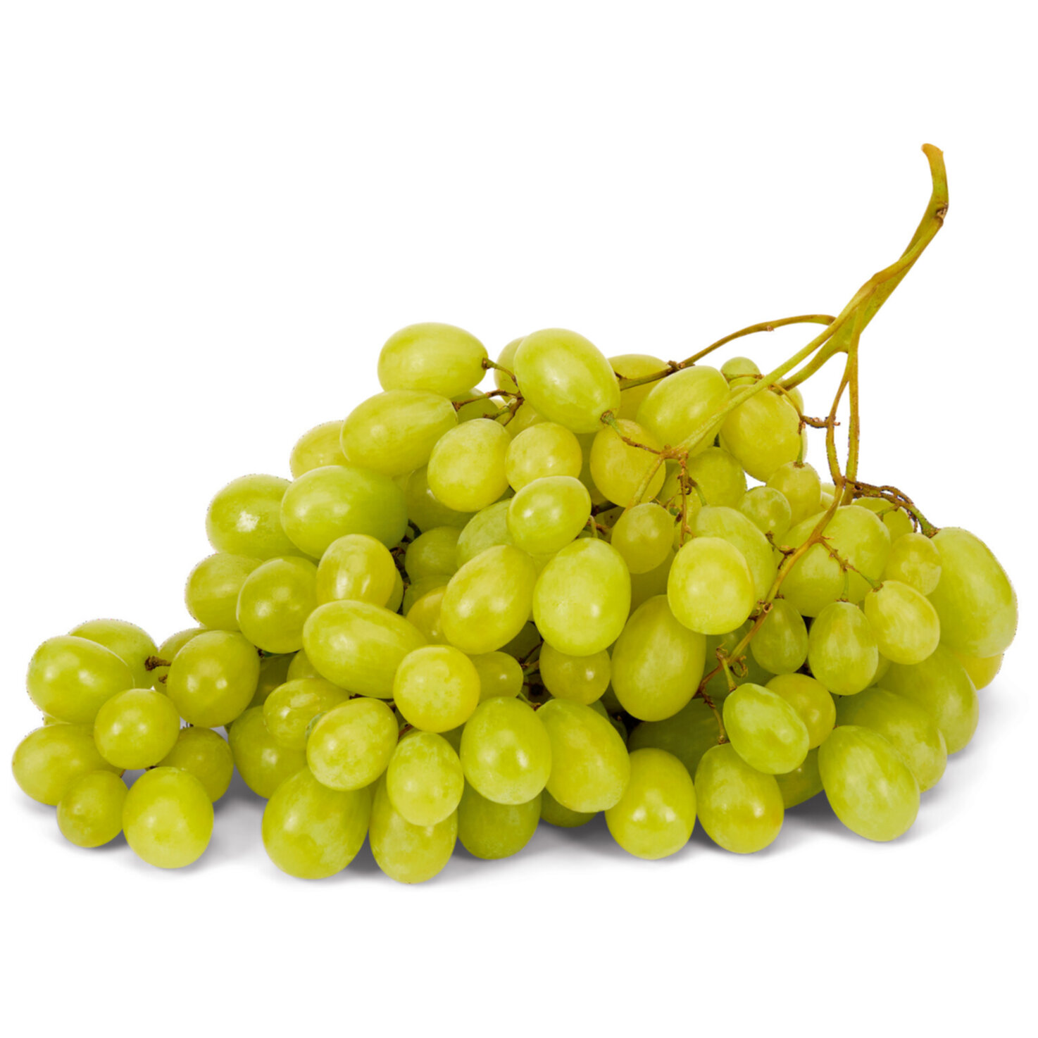 Bio Demeter Trauben Vittoria -