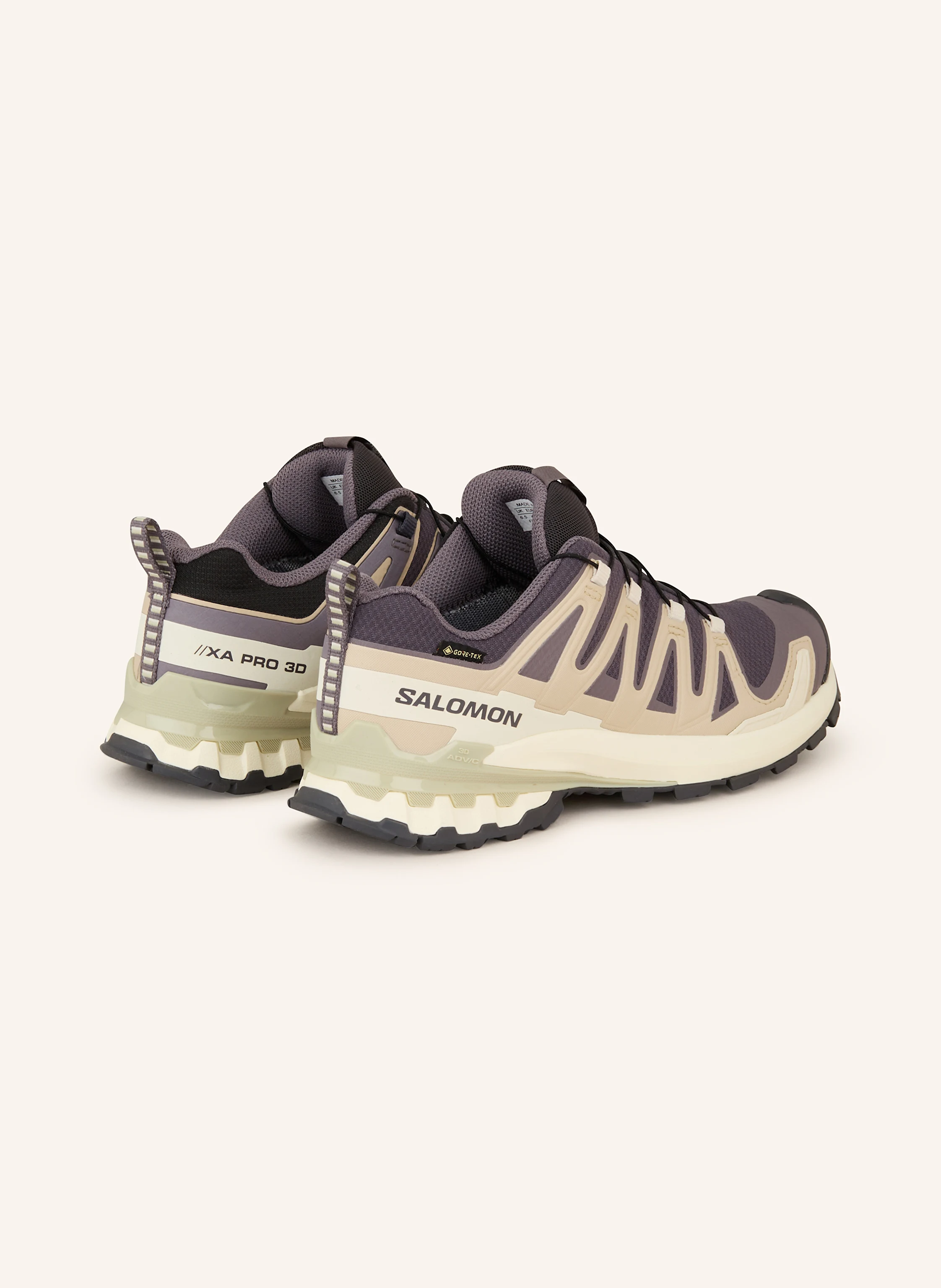 SALOMON Wanderschuhe XA PRO 3D V9 GTX