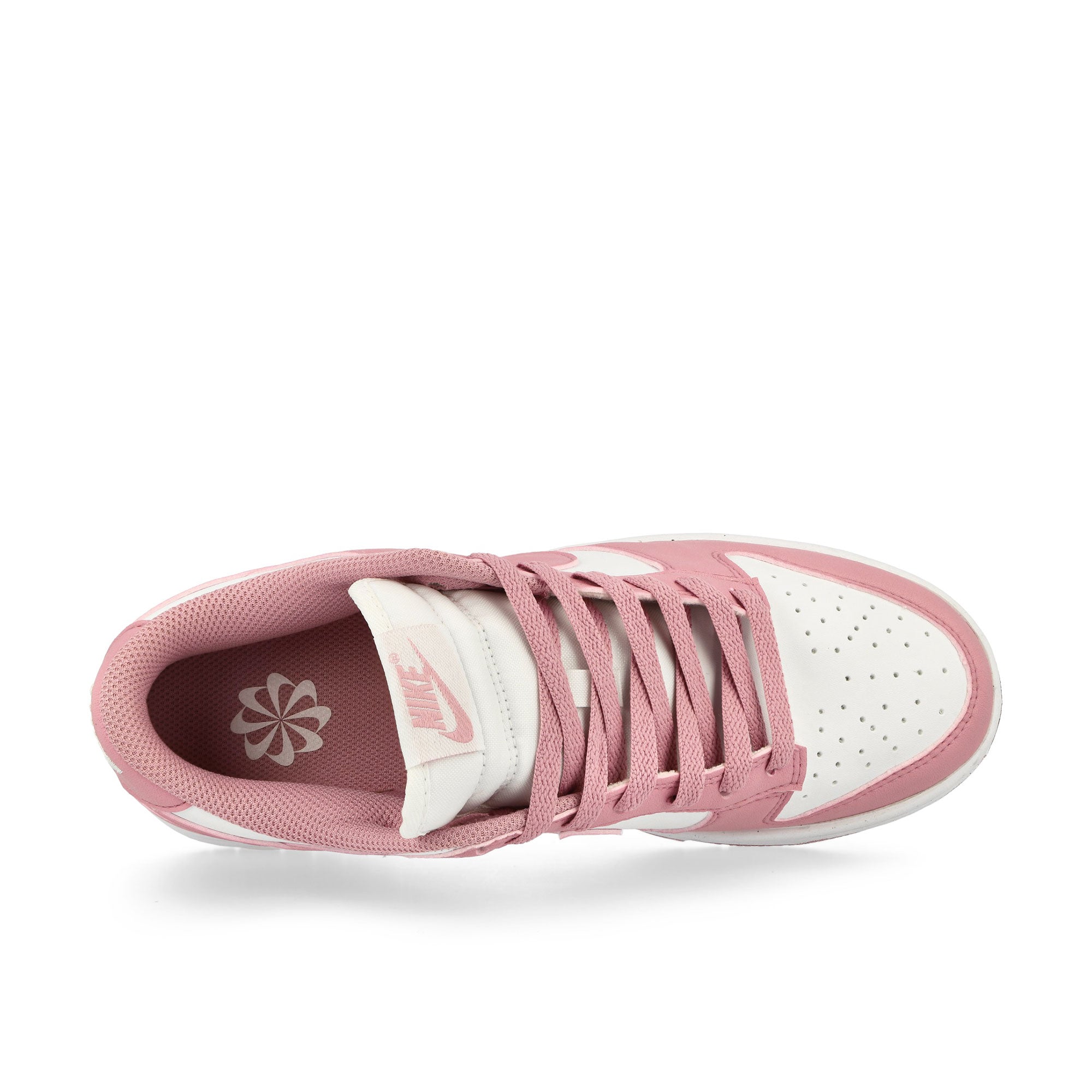 Nike<br>W Dunk Low Next Nature