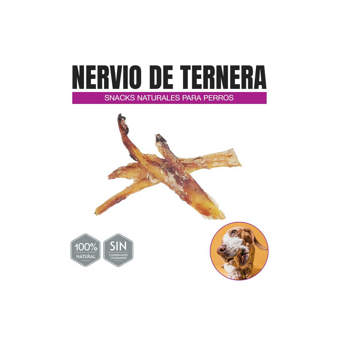 Nervo bovino (1 unidade)