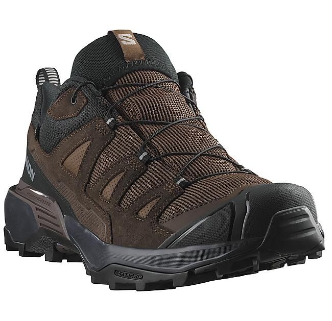 SALOMON - CHAUSSURES DE MULTIACTIVITE X ULTRA 360 LTR GTX M