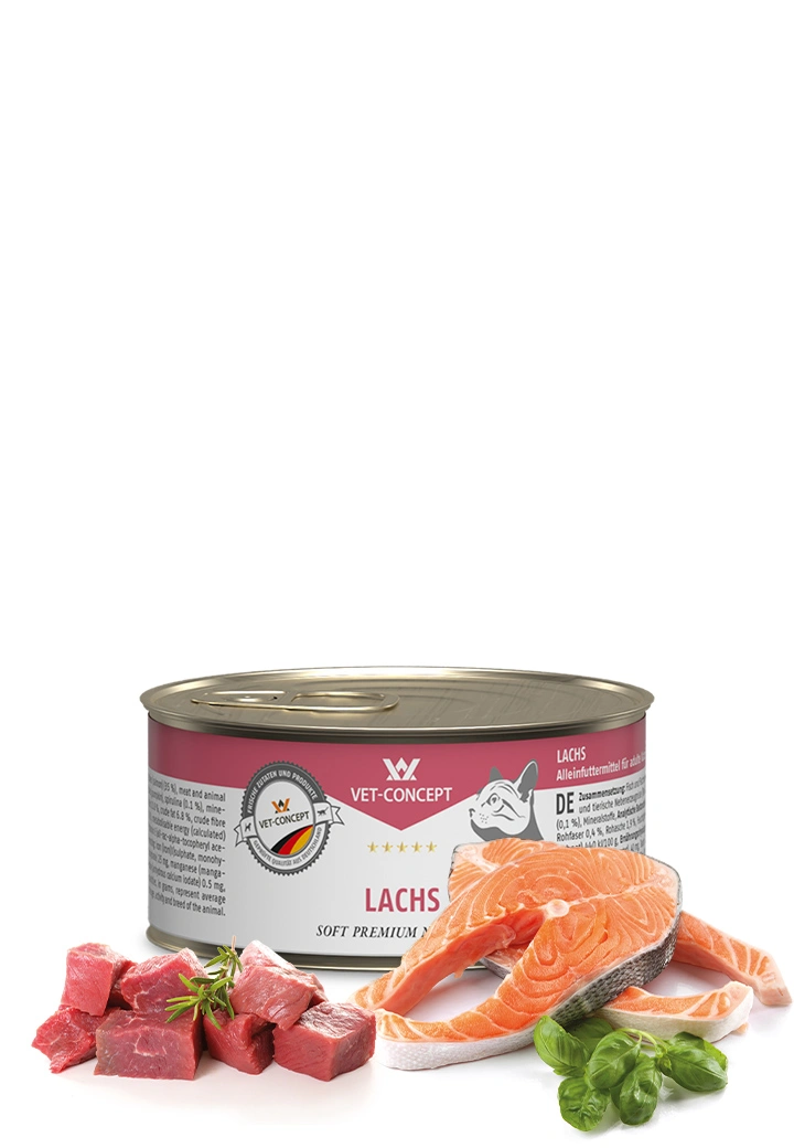 Katzenmenü Lachs