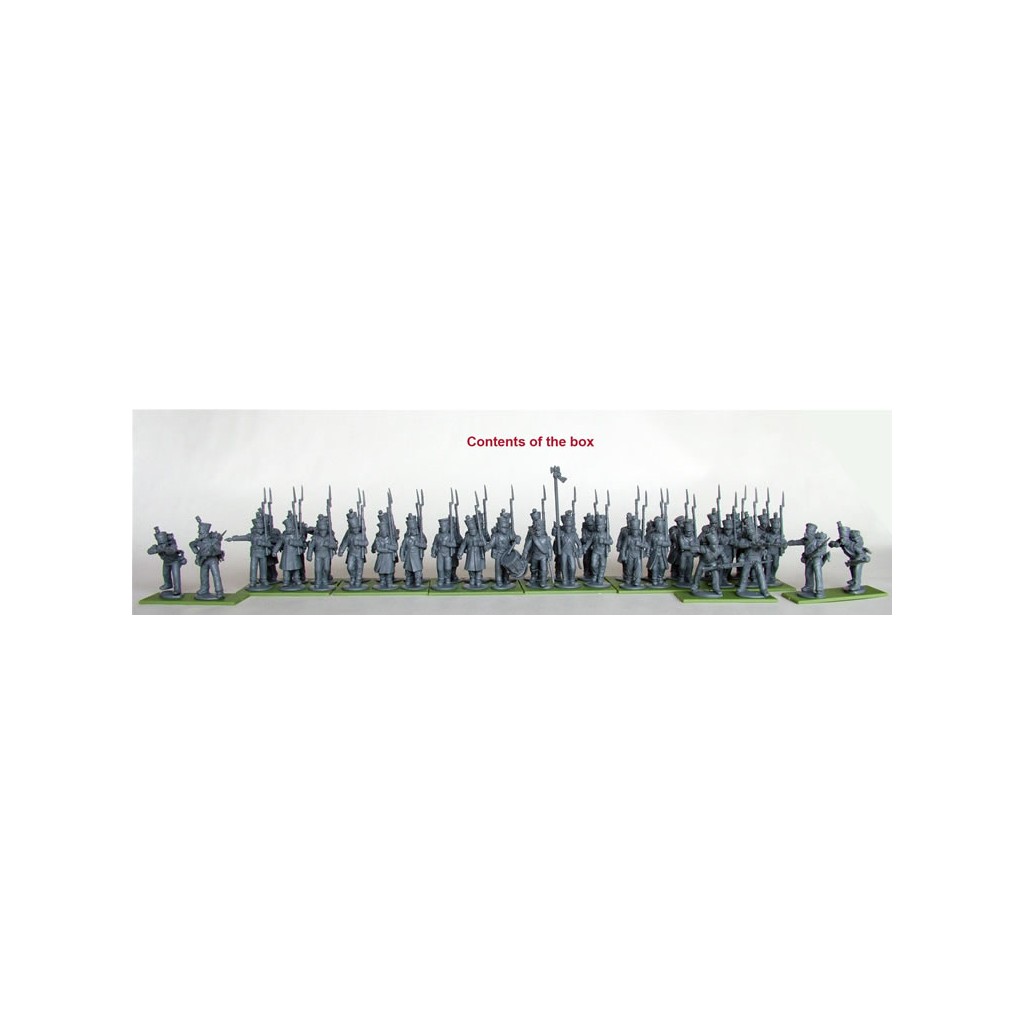 French Napoleonic Infantry