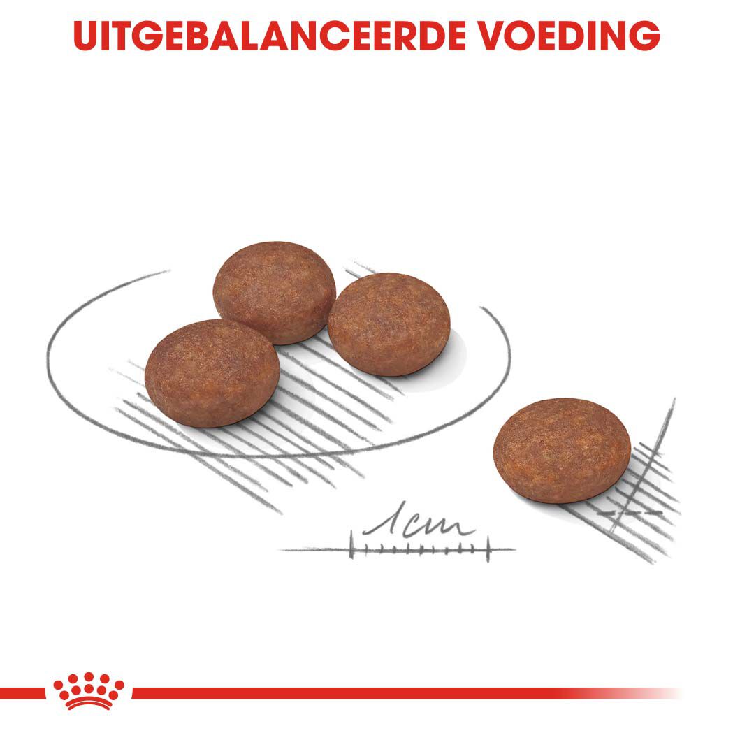 Royal Canin Digestive Care Mini - Hondenvoer - 3 Kilogram - gevogelte