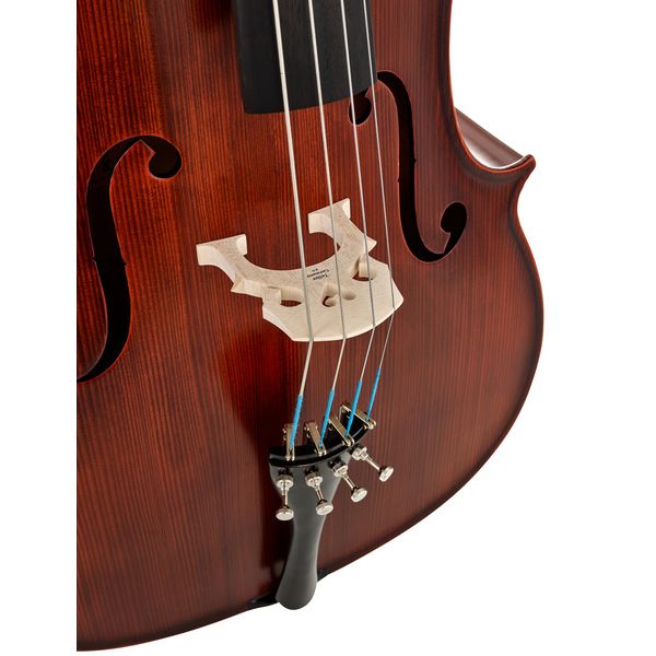 Roth & Junius RJCE 4/4 AS Student Cello Set