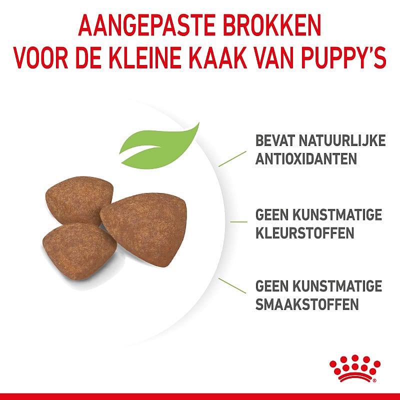 ROYAL CANIN® Small Dog Junior