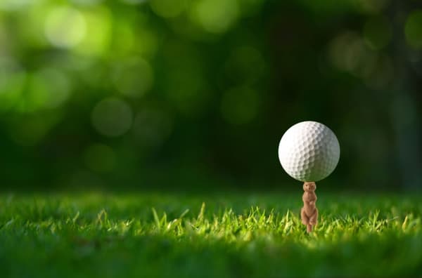 Kikkerland Gopher Golf Tee S/6
