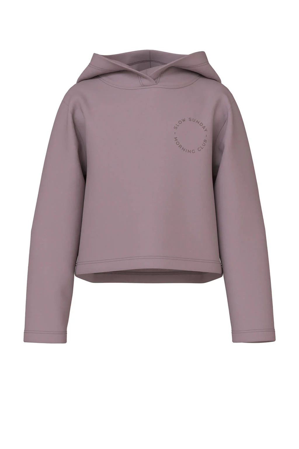 NAME IT KIDS hoodie paars