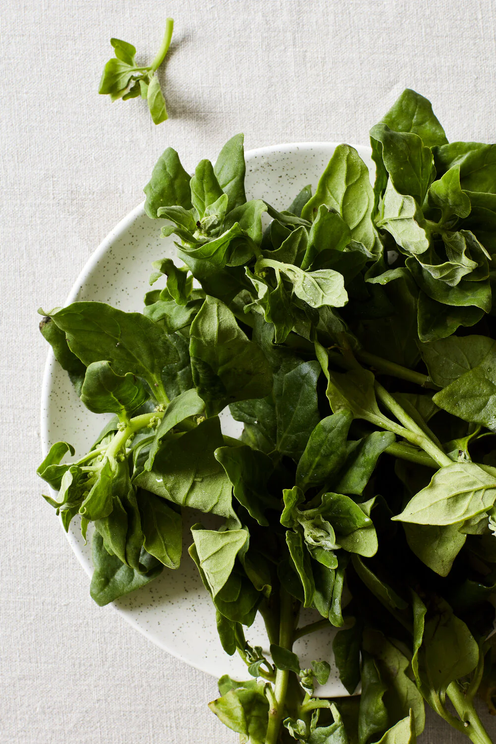Broste Copenhagen  Nordic Vanilla salatskål, stentøj creme - Ø34 cm